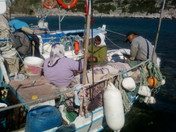 As part of the “Transition to Responsible Fishing Practices in Datça Peninsula” activities, local fishermen and fisherwomen will have the opportunity to receive a “Responsible Fisher Certificate” to identify consumers and restaurant owners that participated and succeeded in an educational program about responsible fishing practices.