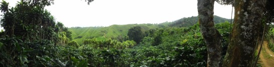 Panoramic view of the higher part of the Jesus Maria Watershed. Main economic activity is coffee farming.